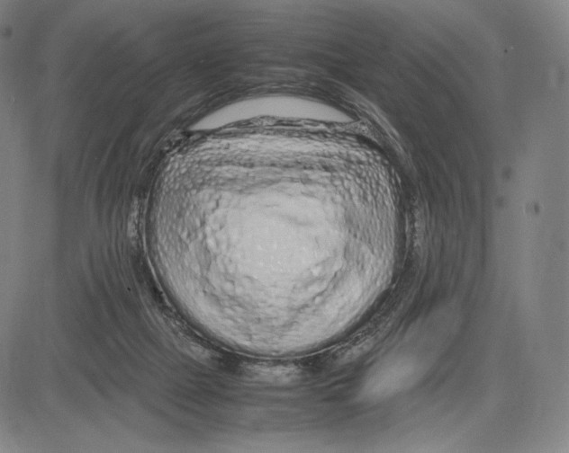 X0000081610073200702121625