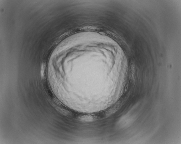 X0000081610075200702121625