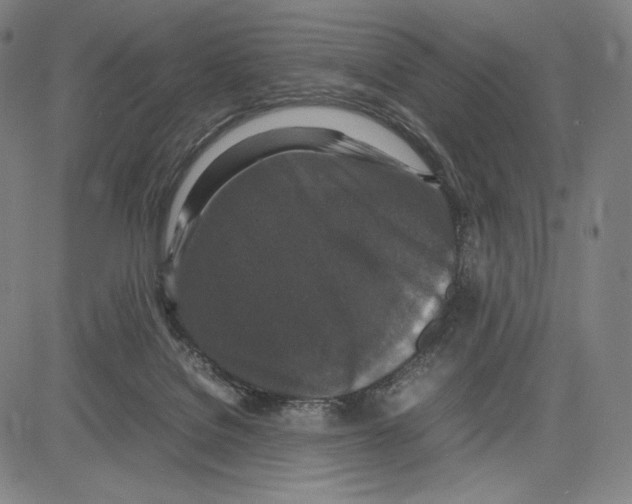 X0000081610076200702121625