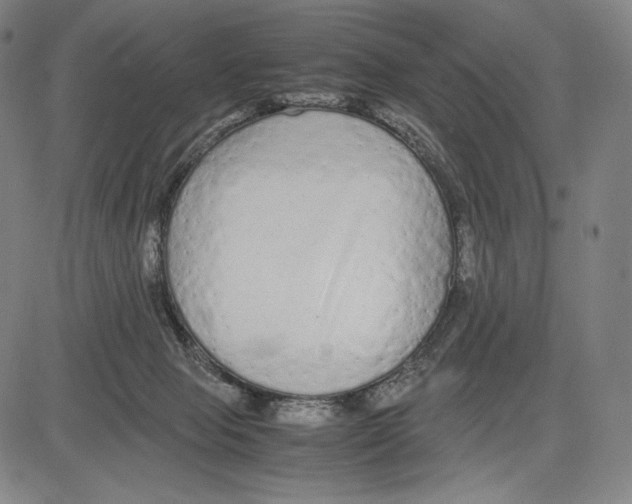 X0000081610077200702121625