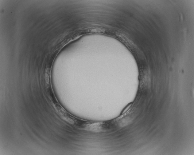 X0000081610078200702121625