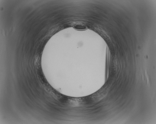 X0000081610079200702121625