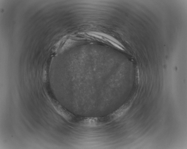 X0000081610080200702121625