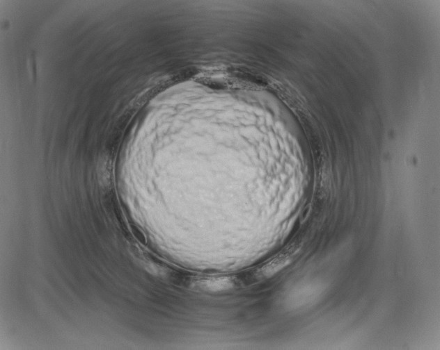 X0000081610081200702121625