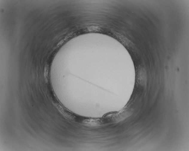 X0000081610082200702121625