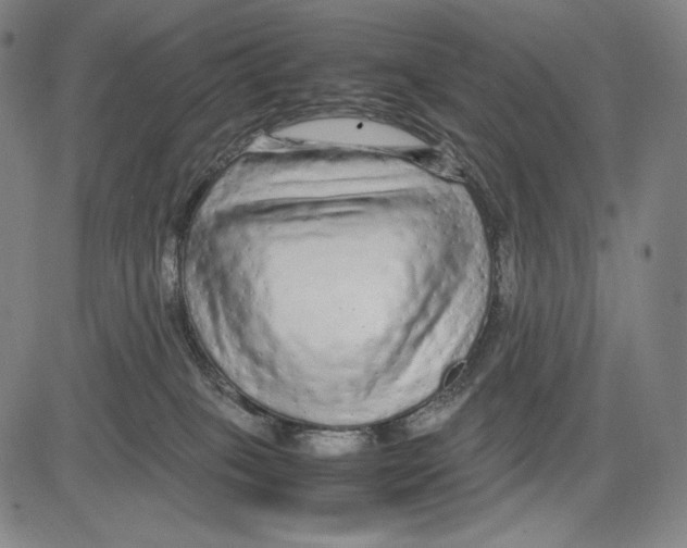 X0000081610085200702121625