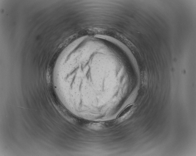 X0000081610086200702121625