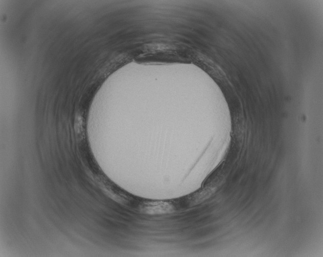 X0000081610087200702121625