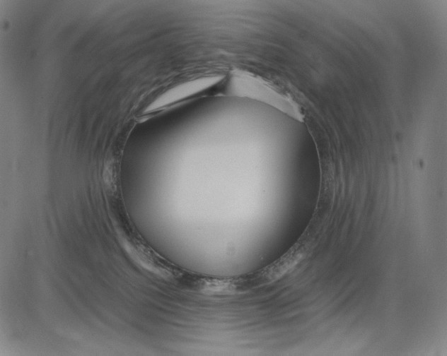 X0000081610088200702121625