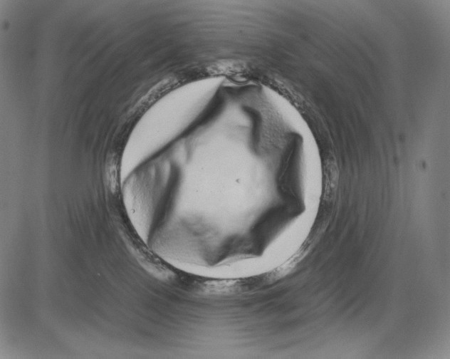 X0000081610090200702121625