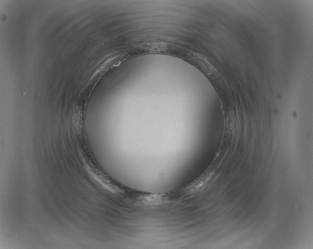 X0000081610092200702121625