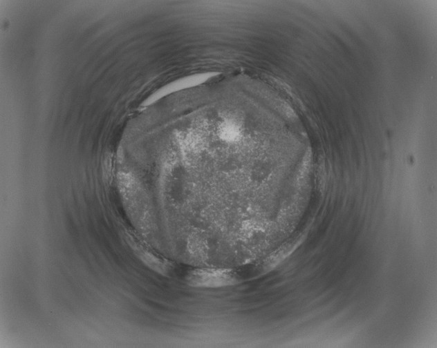 X0000081610093200702121625