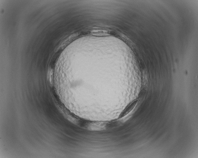 X0000081610094200702121625