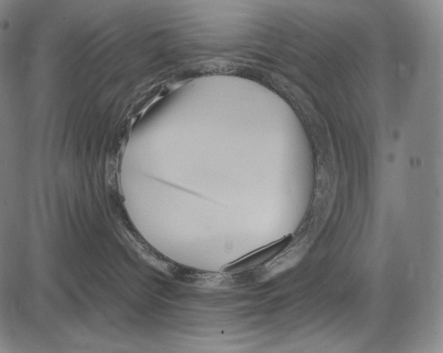 X0000081610096200702121625