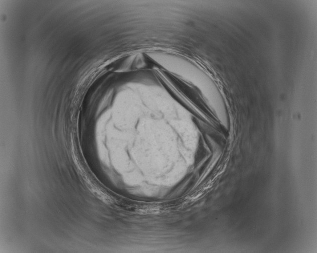 X0000081610097200702121625