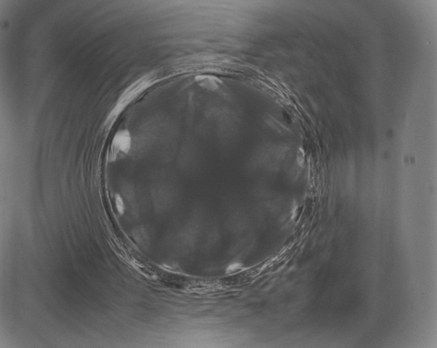 X0000081610099200702121625