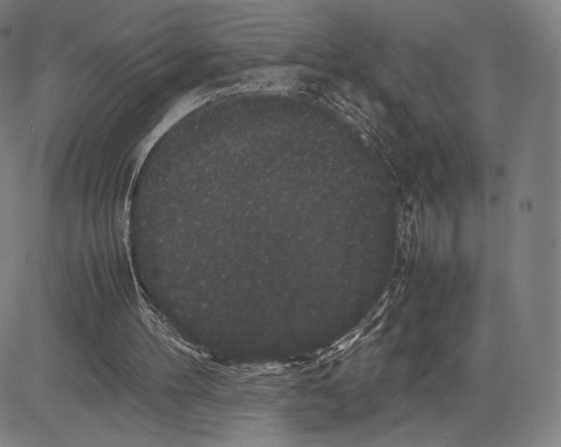 X0000081610100200702121625