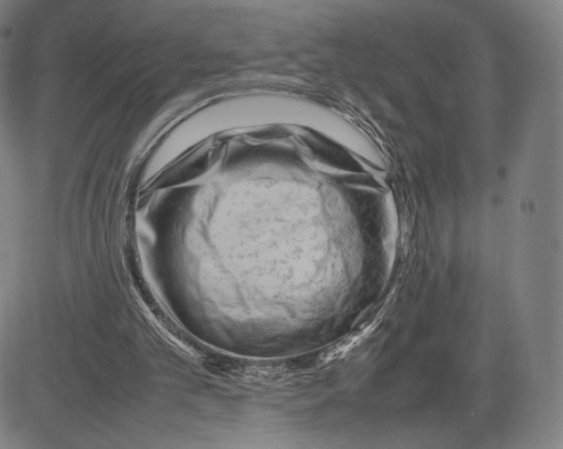 X0000081610101200702121625