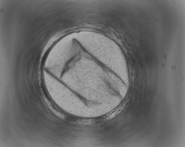 X0000081610102200702121625