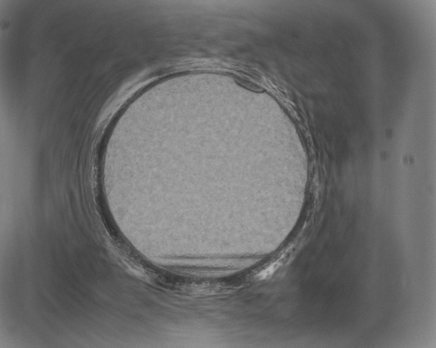 X0000081610103200702121625