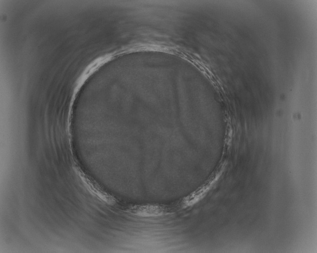 X0000081610104200702121625