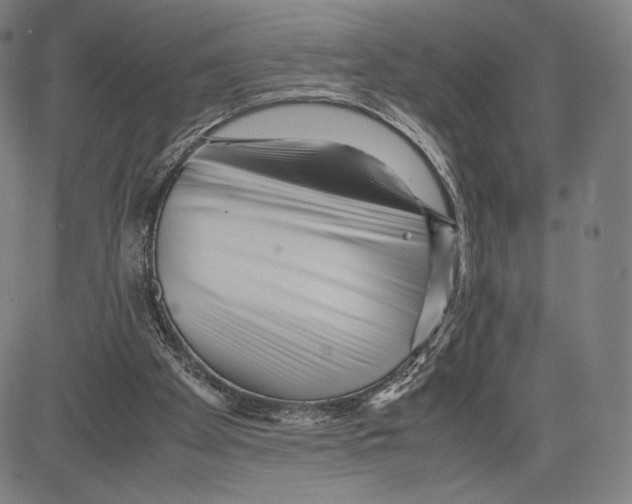 X0000081610105200702121624