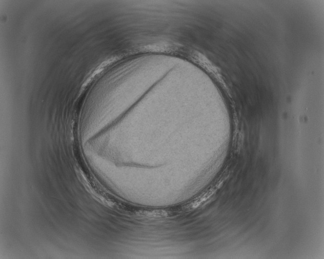 X0000081610106200702121624