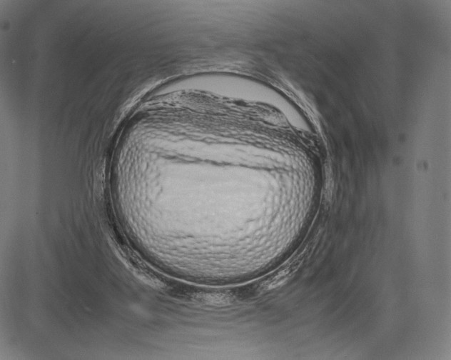 X0000081610107200702121624