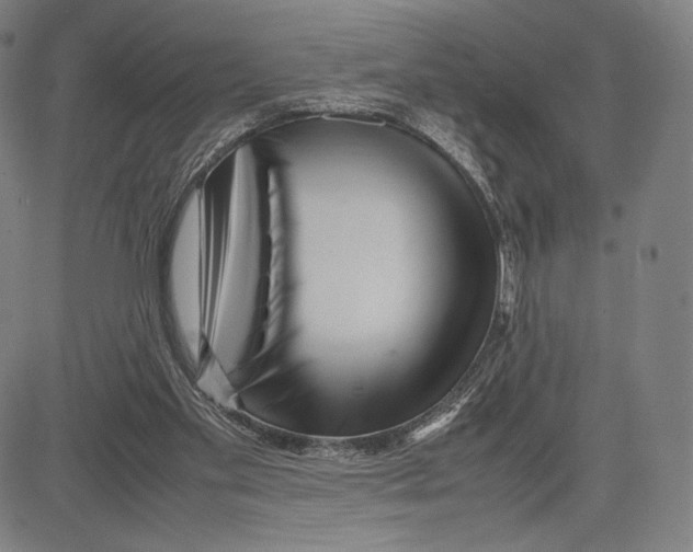 X0000081610109200702121624