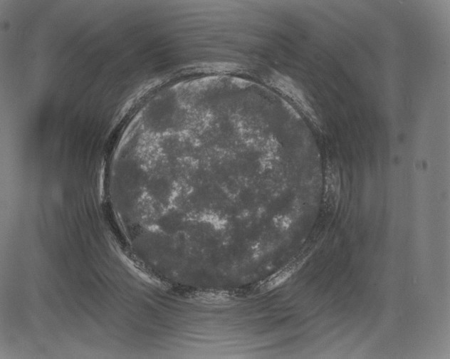 X0000081610110200702121624