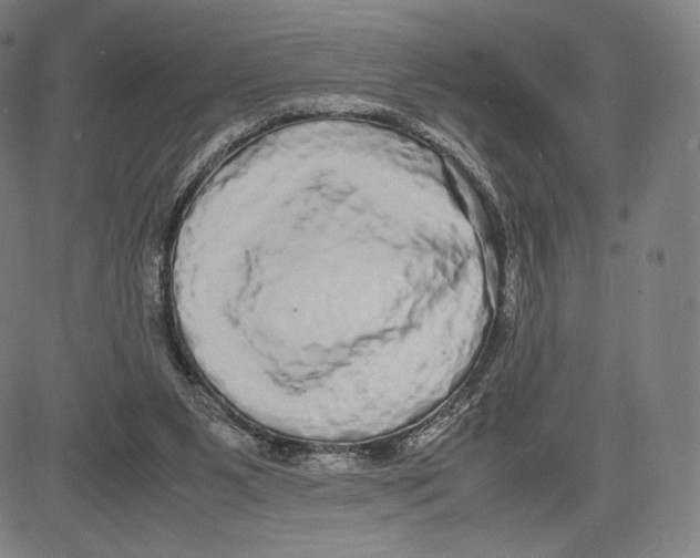 X0000081610111200702121624