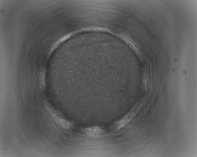 X0000081610112200702121624