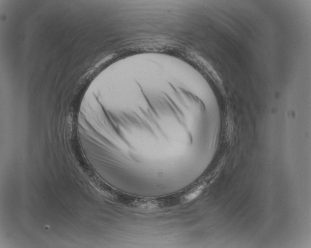 X0000081610113200702121624