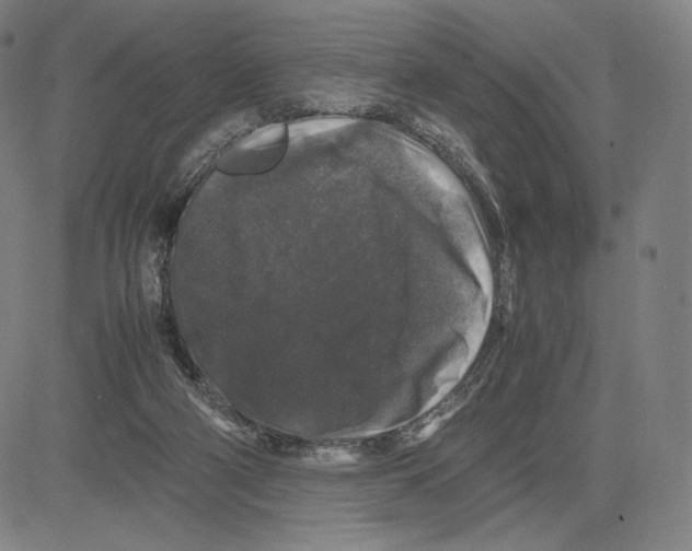 X0000081610114200702121624