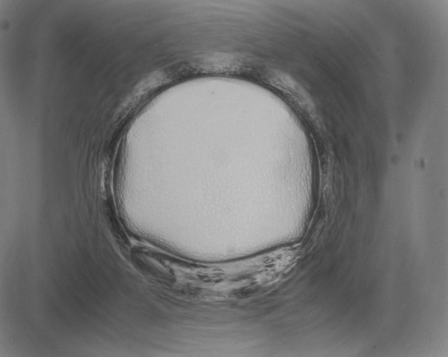 X0000081610115200702121624