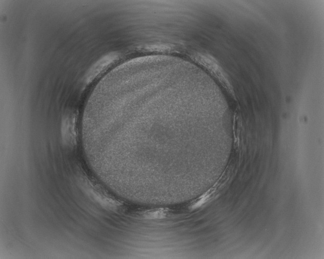 X0000081610116200702121624