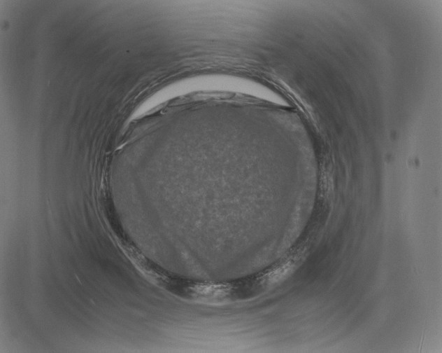 X0000081610117200702121624