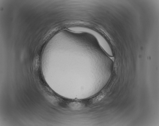 X0000081610119200702121624