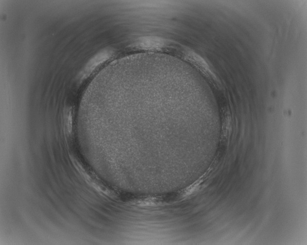 X0000081610120200702121624