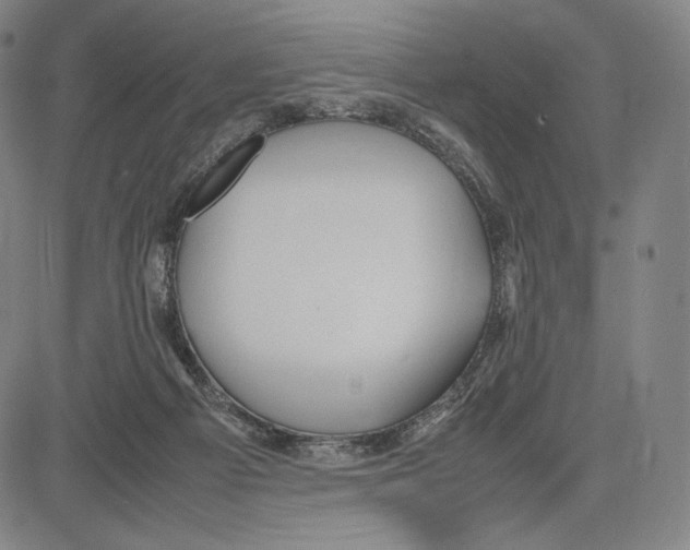 X0000081610121200702121624