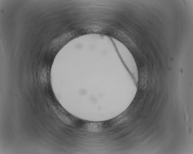 X0000081610126200702121624