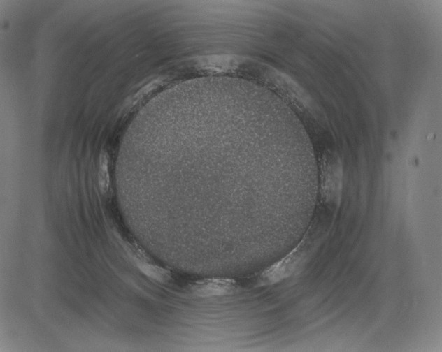 X0000081610128200702121624