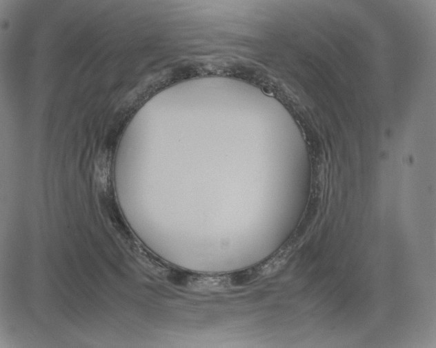 X0000081610129200702121624