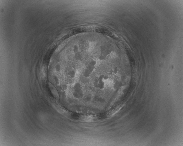 X0000081610131200702121624