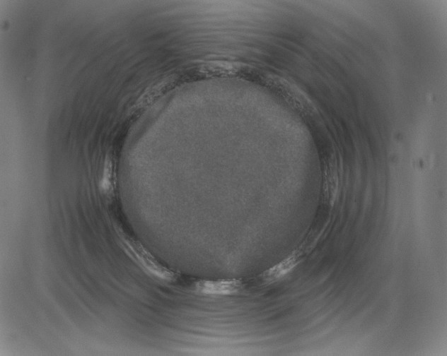 X0000081610134200702121624