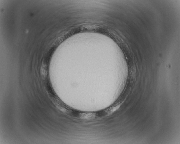 X0000081610135200702121624