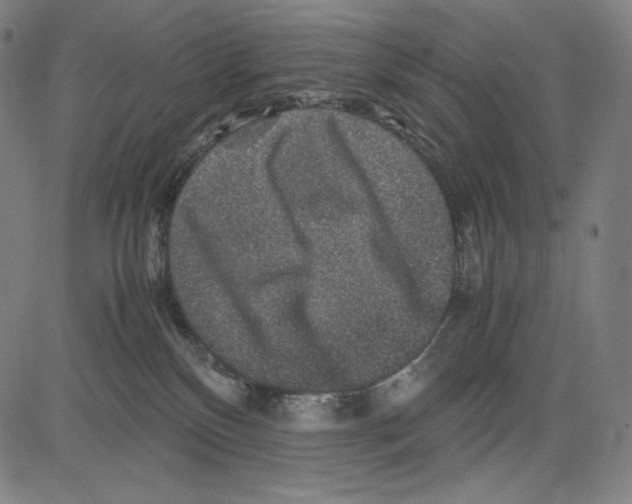 X0000081610136200702121624