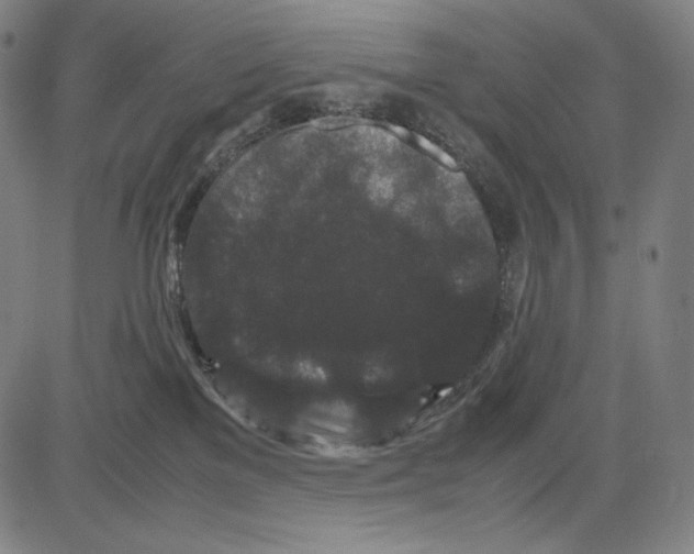 X0000081610137200702121624