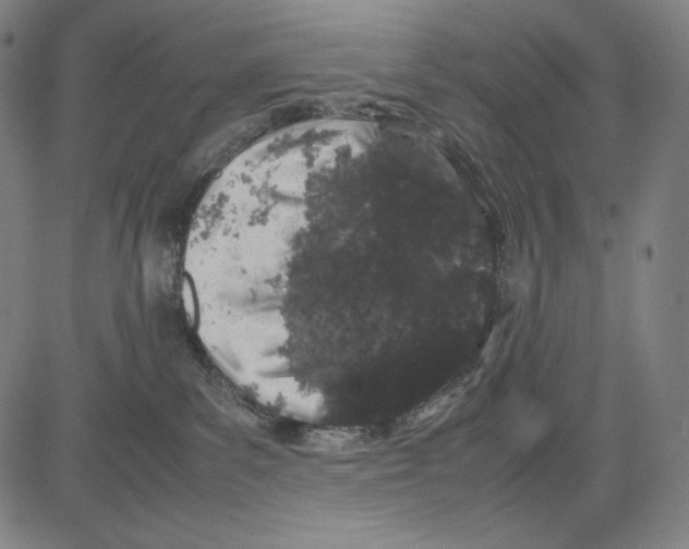 X0000081610139200702121624