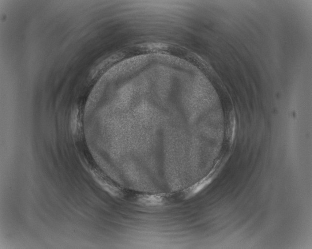 X0000081610140200702121624